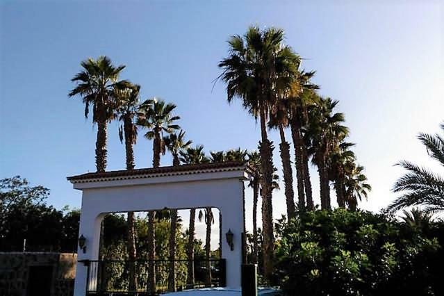 Bungalow The Eight Maspalomas (Gran Canaria) Exterior foto